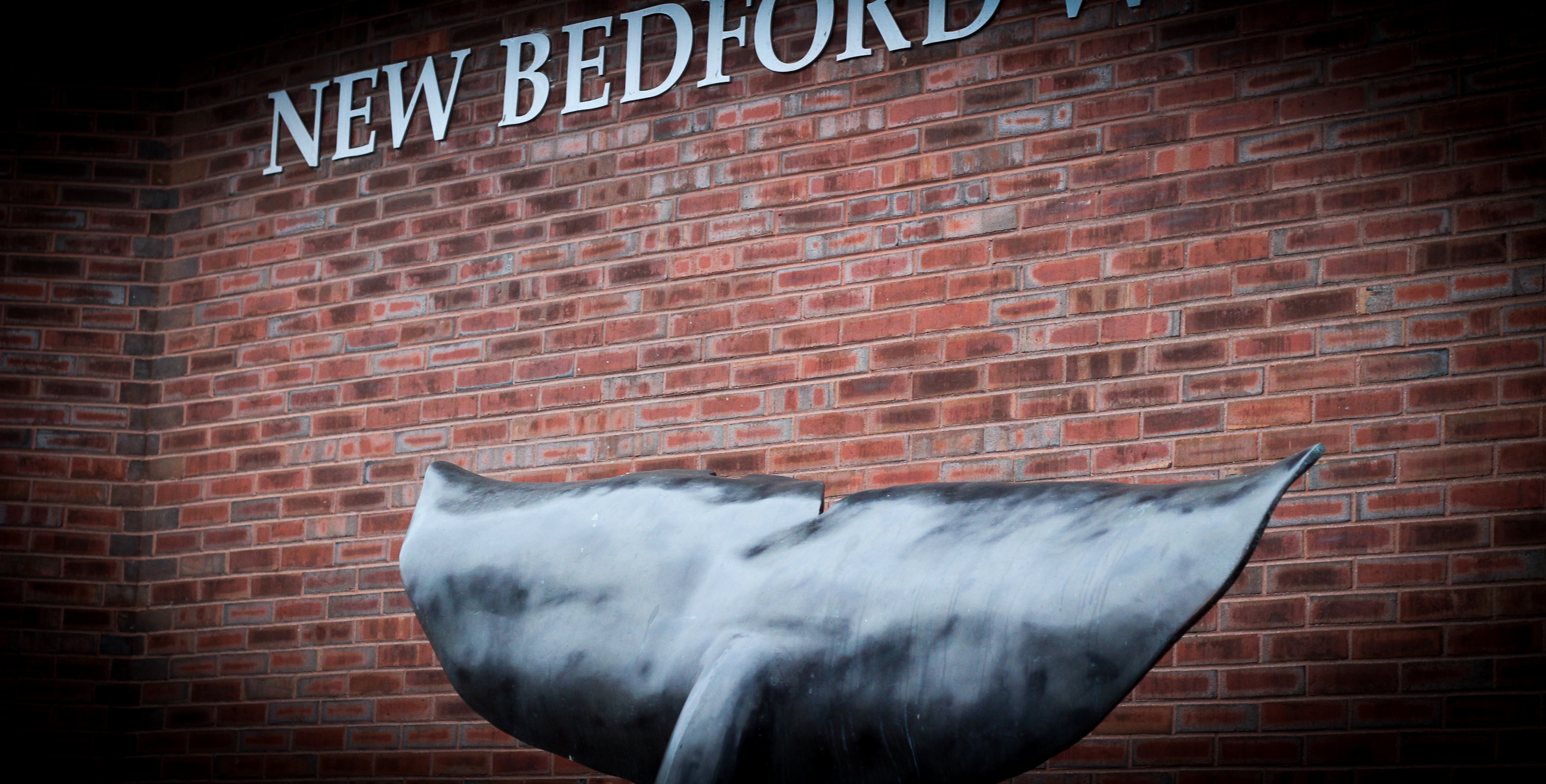 new bedford whale's tale